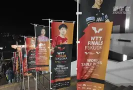 上海双馨虎压制山东西王，顺利进入总决赛的简单介绍